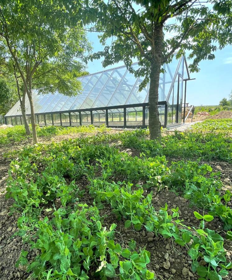 Istvan Parkhotel Es Gasztrofarm Sormás Εξωτερικό φωτογραφία