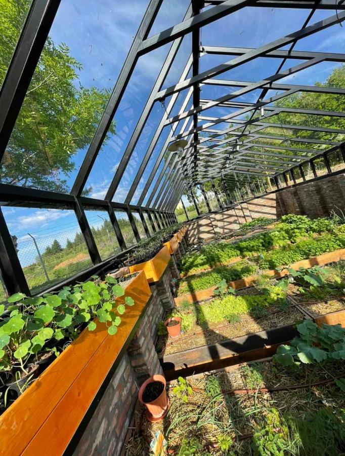 Istvan Parkhotel Es Gasztrofarm Sormás Εξωτερικό φωτογραφία